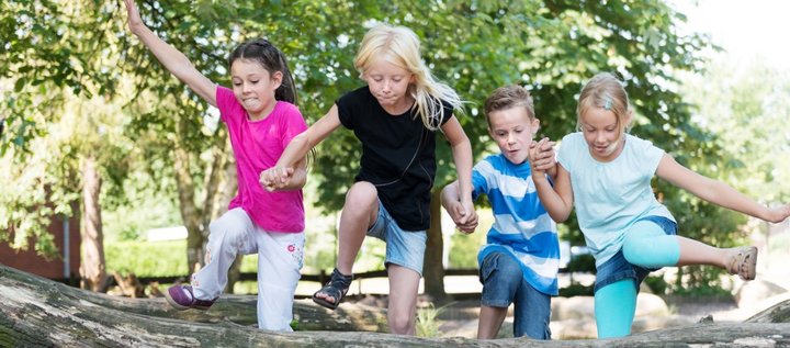 Drei Mädchen und ein Junge im Grundschulalter halten sich an den Händen und springen zusammen über einen umgestürzten Baumstamm im Wald.