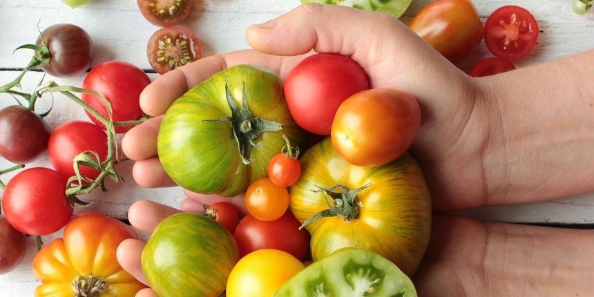 Tomaten. Artikel "Das Lieblingsgemüse der Deutschen sind Tomaten" öffnen.