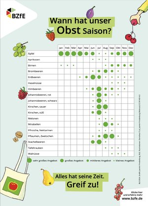 Infografik "Wann hat unser Obst Saison?" im Hochformat