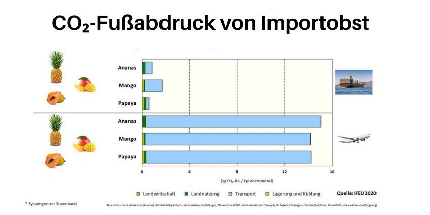 Das Balkendiagramm zeigt den Klimafußabdruck von Ananas, Mango und Papaya beim Import mit dem Schiff und beim Flugtransport.