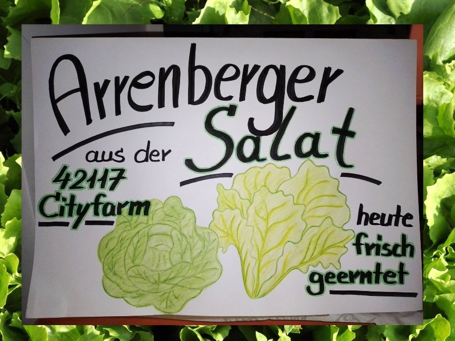 Ein Plakat mit gruenen Salatkoepfen, auf dem steht: Arrenberger Salat, heute frisch geerntet.