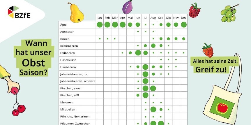 Dieser einfache Obstkalender bietet mit einer kindgerechten Auswahl einen Einstieg in das Thema Saisonalität.