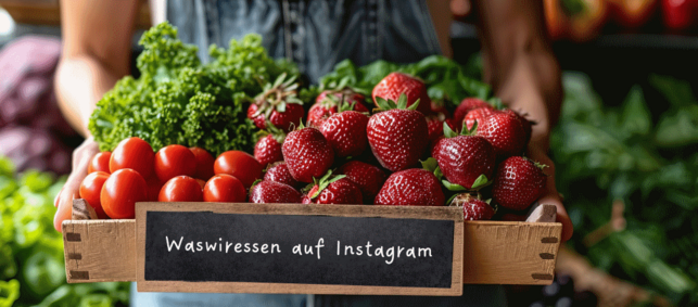 Kiste mit Erdbeeren und Radieschen, Schild mit Aufschrift Waswiressen auf Instagram