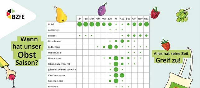 Ausschnitt aus der Infografik "Wann hat unser Obst Saison?"
