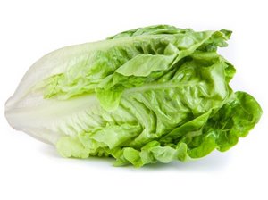 Ein Romanasalat auf weißem Hintergrund.