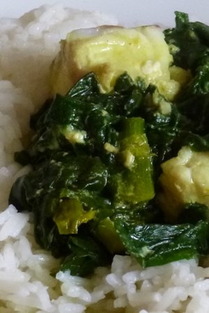 Kokos-Curry-Spinat mit Fisch