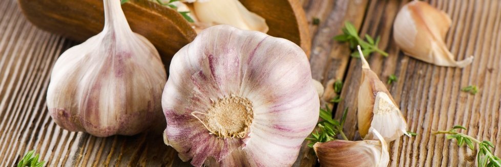 Zwei Knoblauchknollen liegen auf Holz, daneben einige einzelne Knoblauchzehen und vereinzelte Thymianzweige.