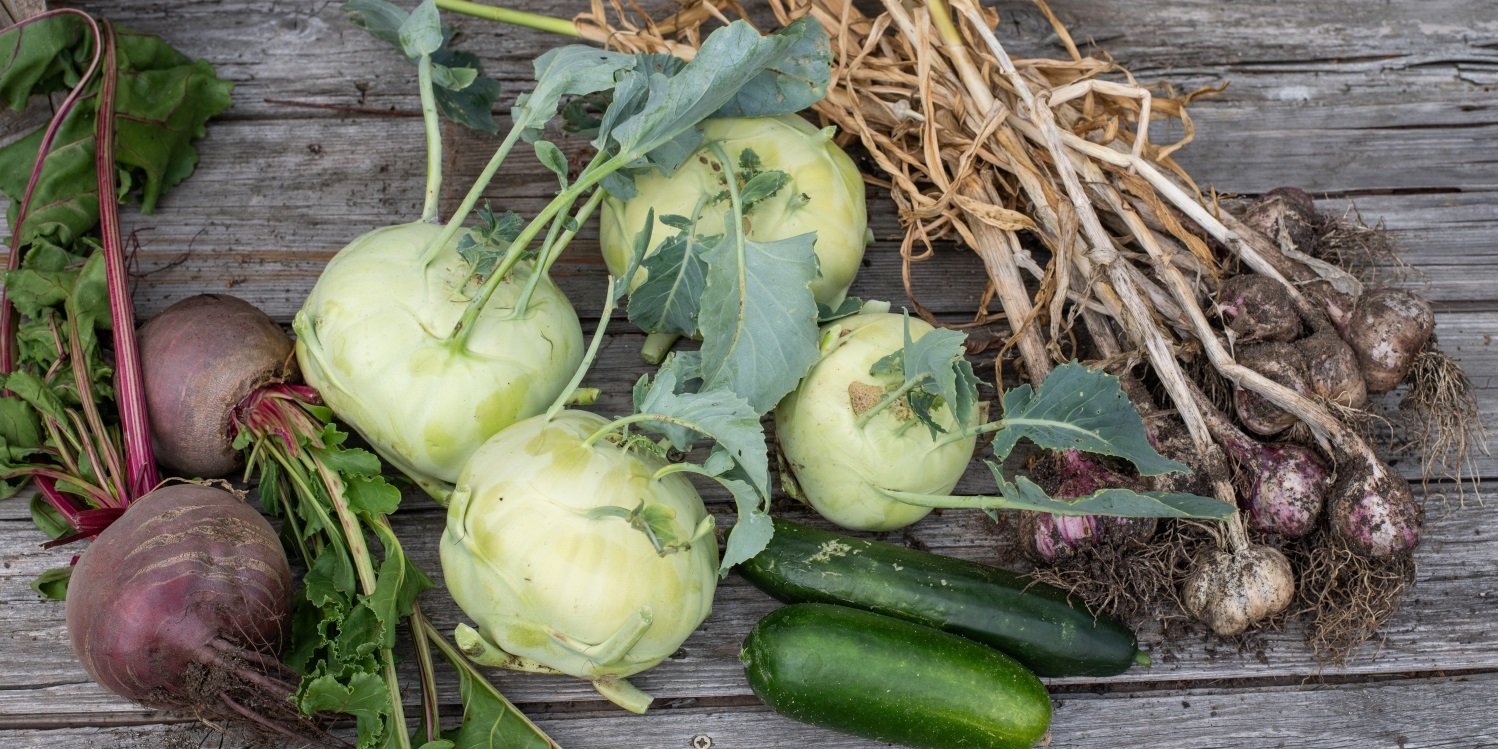 Auf einem Holzuntergrund liegen frisch geerntete Rote Beten, Kohlrabi, Gurken und Knoblauch. . Artikel "„Landwirtschaft und Essen: Regional, saisonal, genial.“" öffnen.
