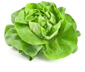 Ein Kopfsalat auf weißem Hintergrund.