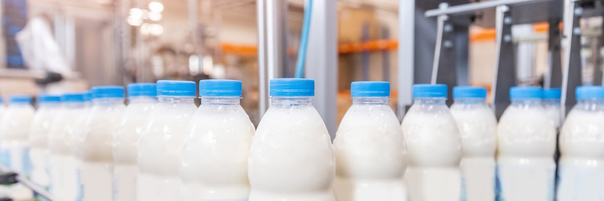 Milchflaschen stehen in einer lagen Reihe auf einem Fließband.