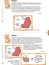 Beispielseite aus dem Material.