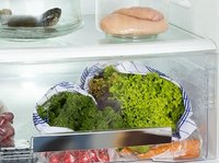 Kühlschrank mit Salat im Gemüsefach.