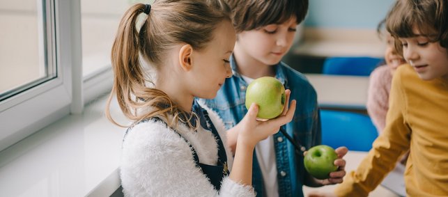 Drei Schulkindern sehen sich Äpfel an