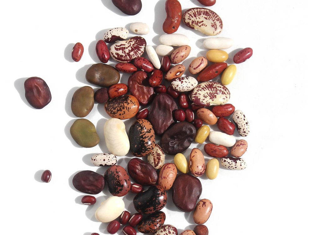 Verschiedene getrocknete Bohnen liegen auf weißem Grund.