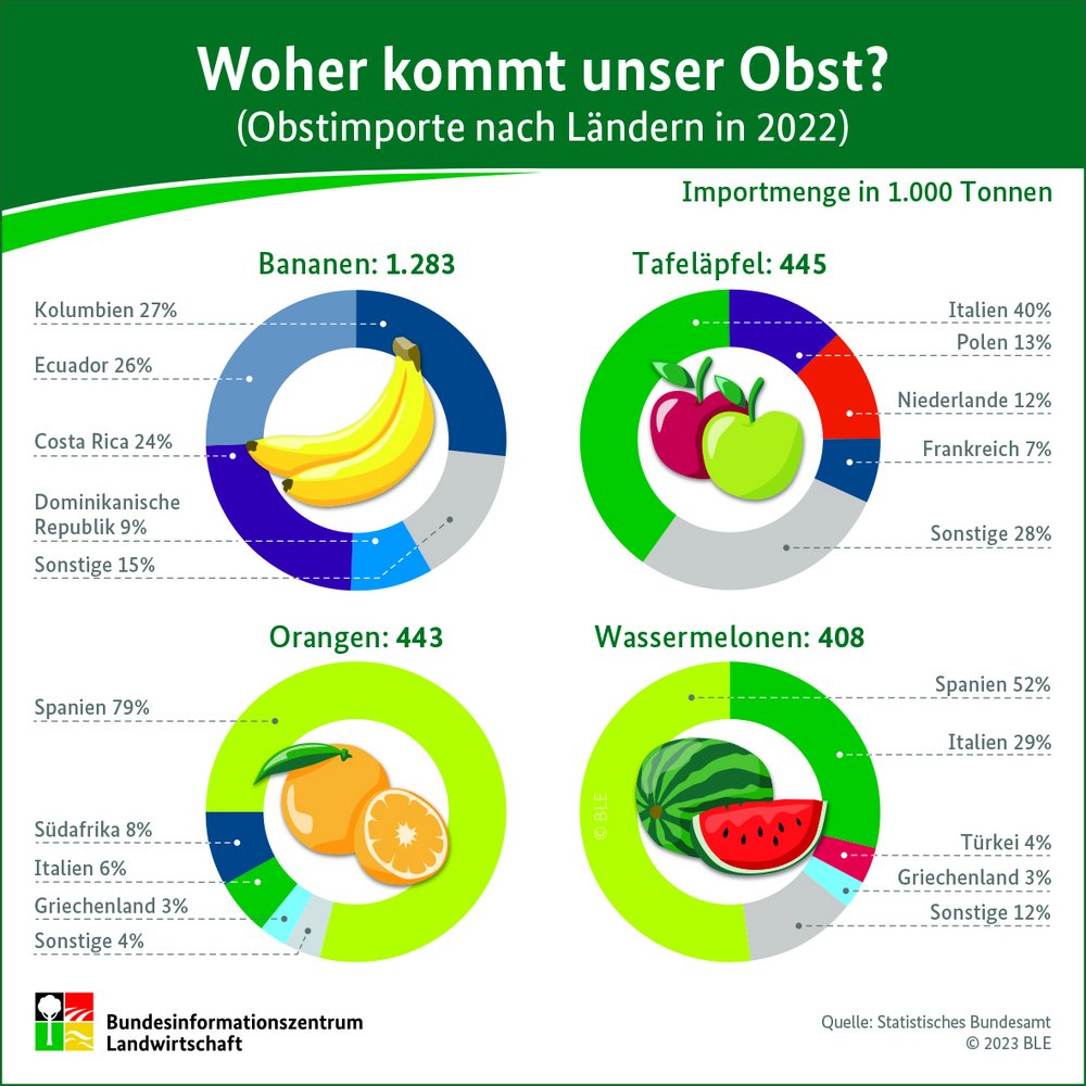 Die Infografik zeigt, zu wieviel Prozent Bananen, Äpfel, Orangen und Wassermelonen aus verschiedenen südlichen Ländern zu uns nach Deutschland importiert werden.