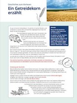 Vorlese-Geschichte: Ein Getreidekorn erzählt.