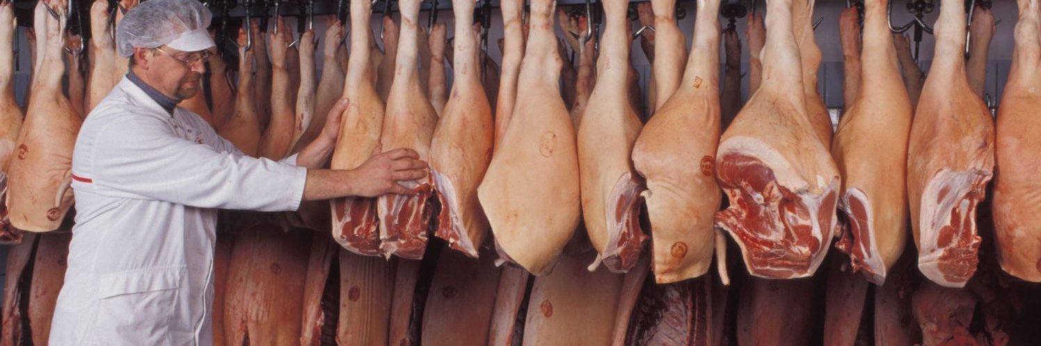 Ein Schlachthof-Mitarbeiter steht in einem Kühlraum vor Schweine-Teilstücken, die an Haken hängen.