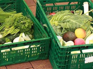 Grüne Kisten mit gerettetem Gemüse.