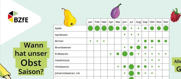 Abbildung eines Ausschnitts des BZfE-Saisonkalender für Kinder „Wann hat unser Obst Saison?“.