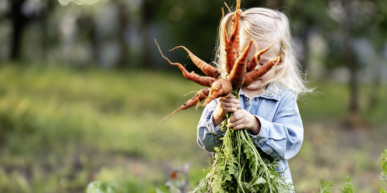 Kind mit frisch geernteten Möhren auf dem Feld. Artikel "Ernährung und Klima, Koordinierungsstelle Zu gut für die Tonne! (ZgfdT)" öffnen.