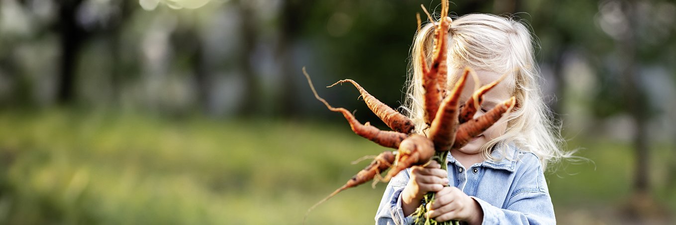 Kind mit frisch geernteten Möhren auf dem Feld