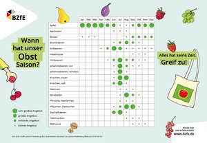 Infografik "Wann hat unser Obst Saison?" im Querformat