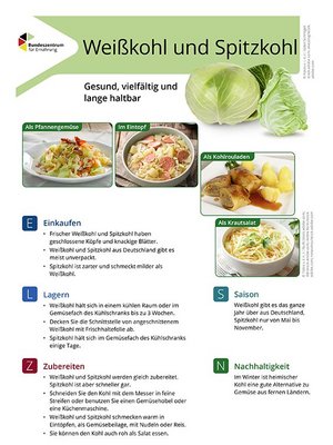 Ansicht des Lebensmittel-Infoblattes Weißkohl
