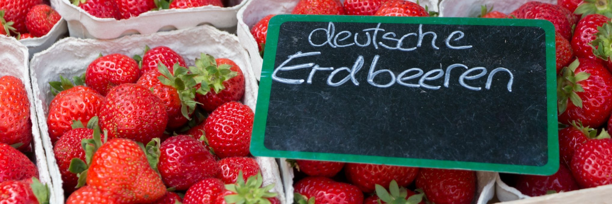 Mehrere Schalen deutscher Erdbeeren stehen eng nebeneinander.