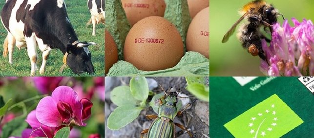 Ausschnitt des Titelbildes. Collage aus sechs Bildern mit einer Kuh auf der Weide, Eiern, einer Biene, einer Erbsenblüte, einem Goldlaufkäfer und dem EU-Bio-Siegel.  