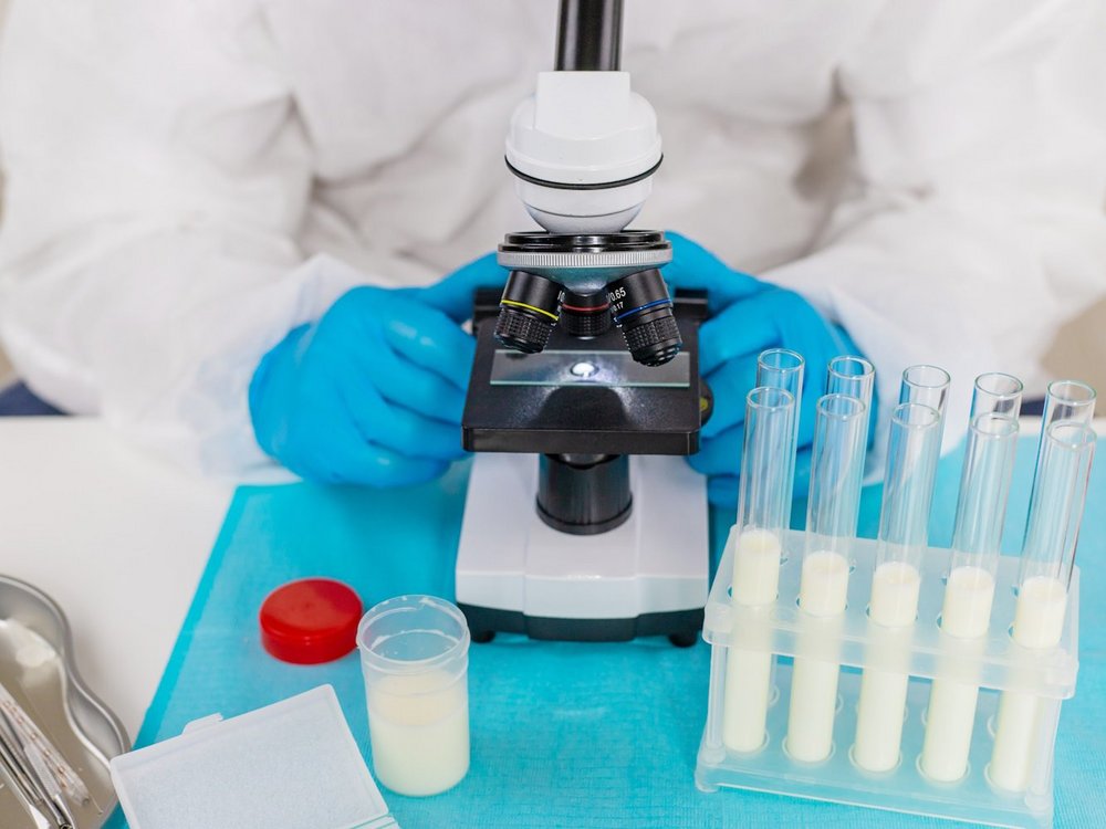 Ein Mensch sitzt hinter einem Mikroskop und hält es in den Händen. Daneben stehen Reagenzglaeser mit Milch.