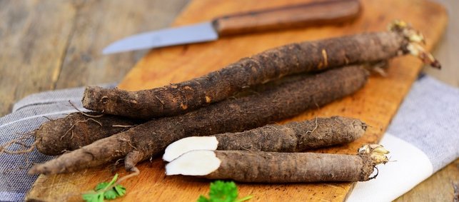 Schwarzwurzel auf einem Holzbrett