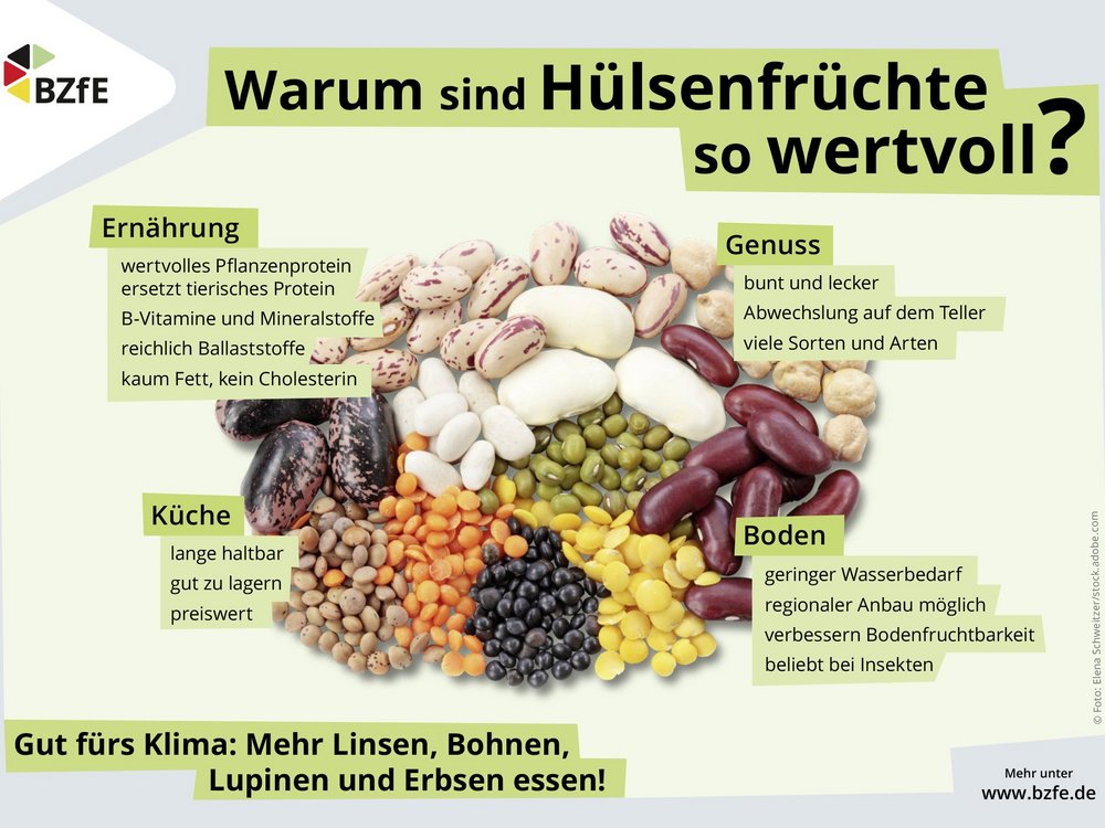 Eine Grafik mit bunten getrockneten Hülsenfrüchten. Darüber die Überschrift "Warum sind Hülsenfrüchte so wertvoll?" Drumherum verschiedene Argumente zu Gesundheit und Klima.