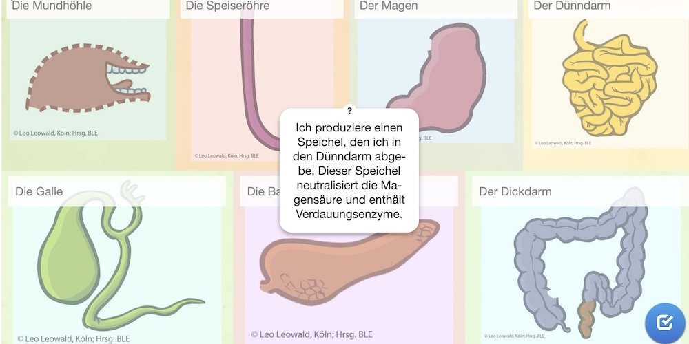 Digitales Quiz zu den Verdauungsorganen und ihren Aufgaben.