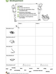 Arbeitsblatt aus dem Material Wie kommt die Möhre auf den Teller.