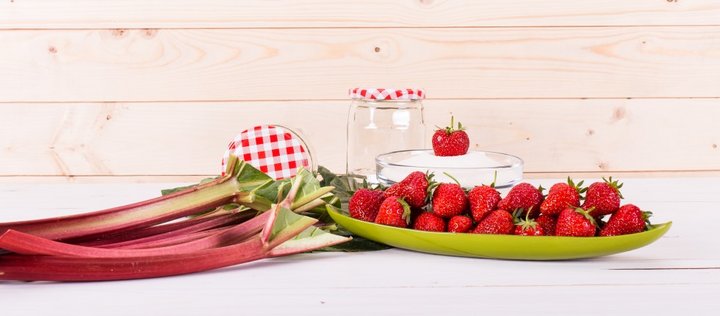 Erdbeeren und Rhababer
