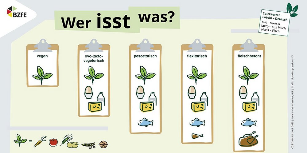 Die Infografik zeigt anhand von Symbolen welche Lebensmittel bei verschiedenen Ernährungsformen gegessen werden.