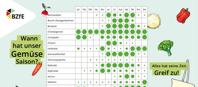 Ausschnitt aus der Infografik "Wann hat Gemüse Saison?"