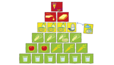 vegetarische Ernährungspyramide