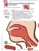 Beispielseite aus dem Material.