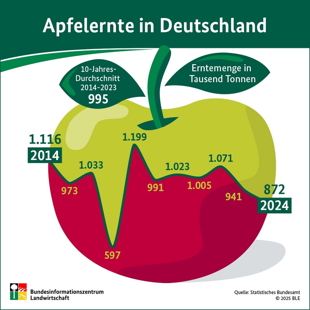 Die Infografik zeigt die Erntemengen von Äpfeln von 2014 bis 2024.