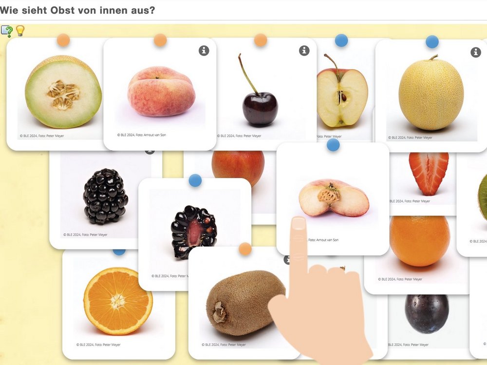 Quizzkärtchen mit Obst und Gemüse.