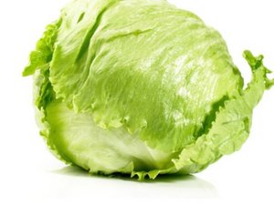 Ein Kopf Eissalat auf weissem Hintergrund.