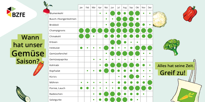 Die Infografik zeigt in einer kindgerechten Auswahl, wann unser Gemüse Saison hat.