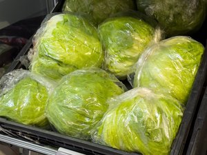 In Folie verpackte Eissalate liegen in einer schwarzen Kiste.