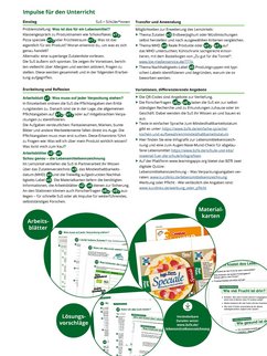 Übersicht Unterrichtsverlauf