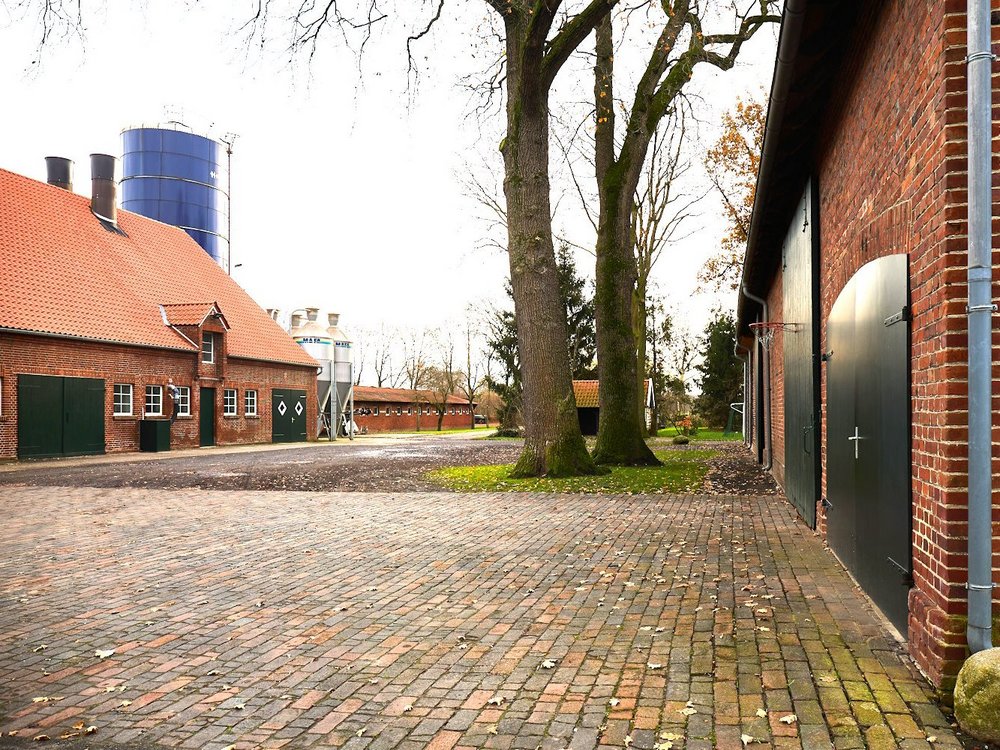 Ein Bauernhof mit einem Wohnhaus im Hintergrund und einem weiteren Gebäude rechts..