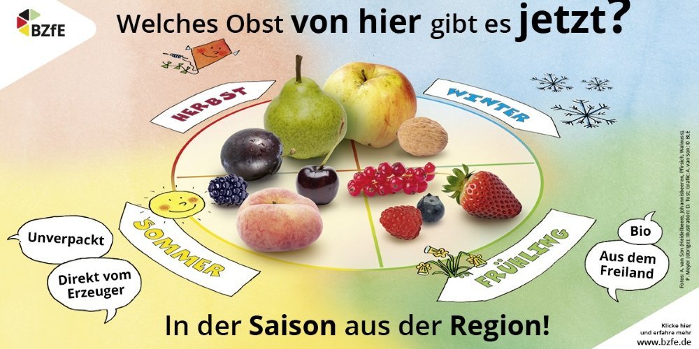 Auf einem Kreis mit vier Segmenten für die vier Jahreszeiten liegen zur Jahreszeit passendes Obst.