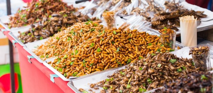 Marktstand mit verschiedenen Insektenarten in der Auslage