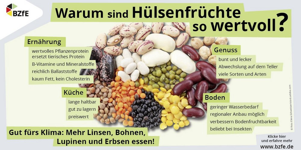 Die Infografik zeigt eine kleine Auswahl verschiedener Hülsenfrüchte mit Text zu den Vorteilen von Hülsenfrüchten. 