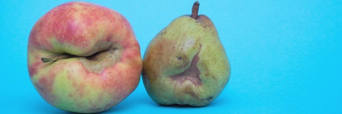 Ein Apfel und eine Birne mit natürlichen Verwachsungen.